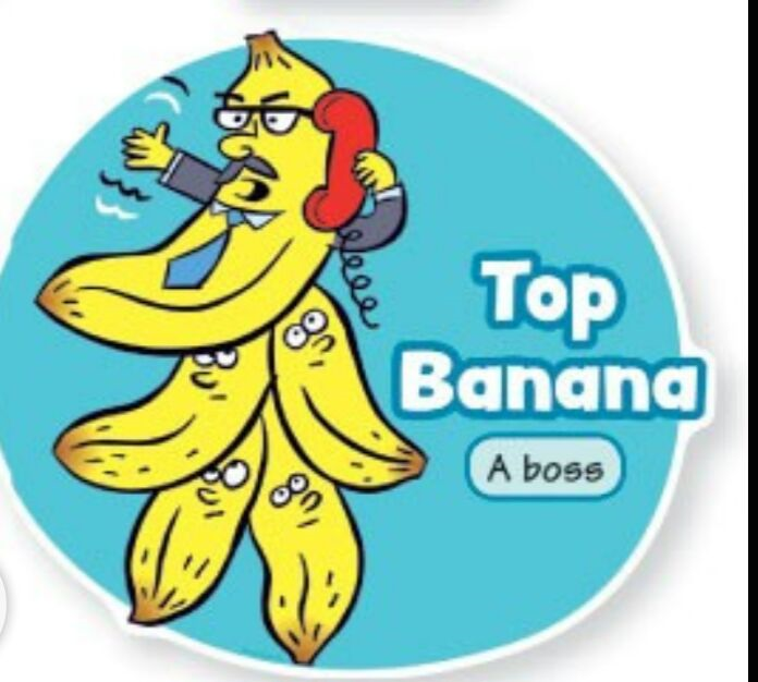 Banana с английского на русский. Идиомы с Banana. Идиомы на английском. Top Banana идиома. Идиомы на английском go Bananas.