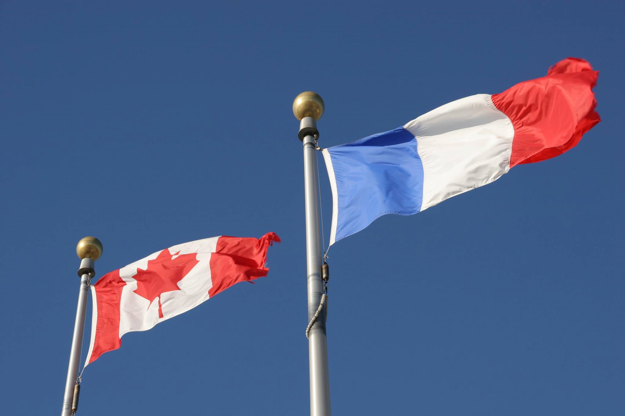 Ca french. Французы в Канаде. Канада английский и французский. Два официальных языка в Канаде.